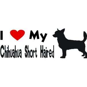love my chihuahua short haired   Selected Color: Burgundy   Want 