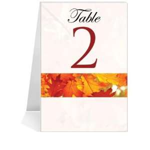   Table Number Cards   Autumn Morning Fresh #1 Thru #29: Office Products