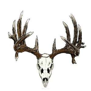  Whitetail deer skull Round Stickers Arts, Crafts & Sewing