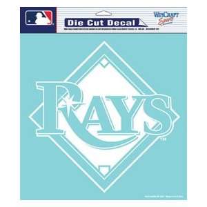  Tampa Bay Rays MLB Decal 8x8: Sports & Outdoors