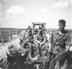 WWII German RP  Army  Soldiers sit on Wagon  Caisson  Horse  1940s 