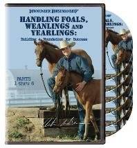   FOALS, WEANLINGS AND YEARLINGS COMPLETE DVD SET: Explore similar items