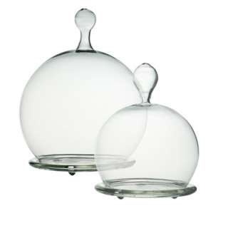 Cloche Bell Jar (24 pcs).Terrarium Glass (Mini). H 5, Bottom Open 2 