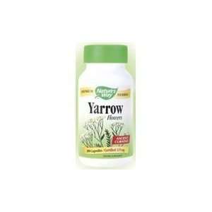  YARROW (FLOWERS) pack of 7