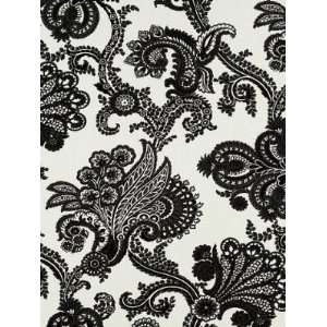  Ralph Lauren LFY50376F BAY ISLAND   BLACK Fabric