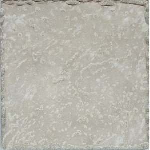  : cerdomus ceramic tile pietra d assisi grigio 8x8: Home Improvement