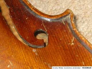   violin Stainer+ cross branding high arched, 1part back violon  