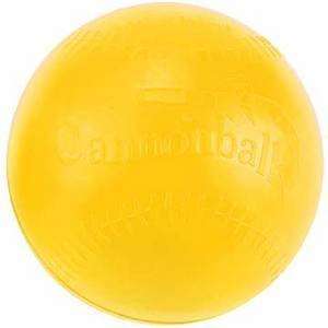  Cannon Ball Rubber Weighted Ball One Pound: Sports 