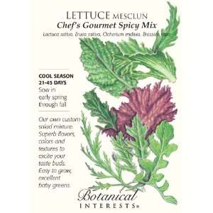   Gourmet Spicy Mix Mesclun Lettuce Seeds Patio, Lawn & Garden