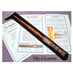   : Game & Wizdom Wand. The Magic Wand That Works Toys & Games