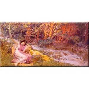   16x8 Streched Canvas Art by Bridgman, Frederick Arthur