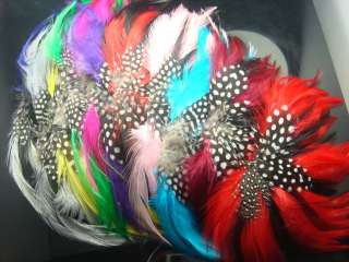 Mix Feathers 10pcs Natural Pad Low Shipping For Craft  