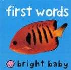 First 100 Words Bright Baby Priddy Books 9780312495411  