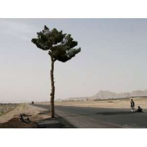 Afghan Men Wait at the Main Road Outside Herats Airport Afghanistan 