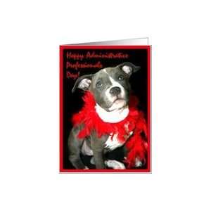  Happy Administrative Professionals Day, Blue Pitbull Puppy Card 