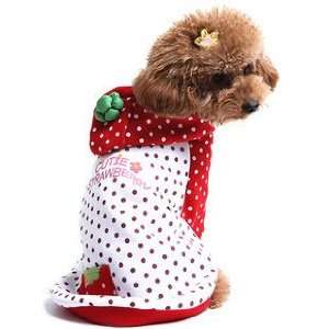Alfie Couture Designer Pet Apparel   Rae Strawberry Costume   Color 
