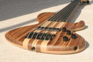 Blasius Kata Single Cut 6 String Fretless Bass Guitar  