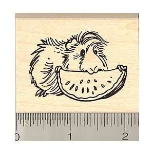  Guinea Pig Eating Fruit Rubber Stamp   Wood Mounted: Arts 