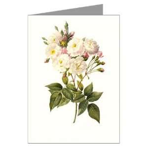 Breathtaking Redoute white flowers Notecards Flowers Greeting Cards Pk 