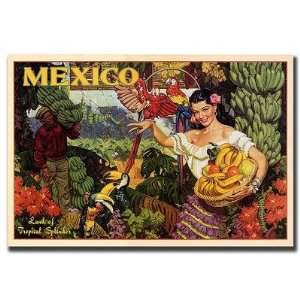  Trademark Global V7066 C2432GG Mexico, Traditional Canvas 