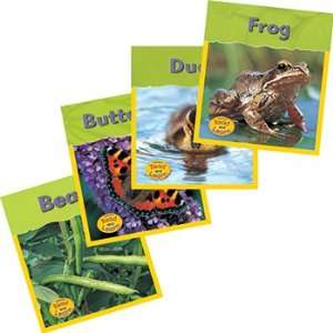  Life Cycles Books Set Of 4