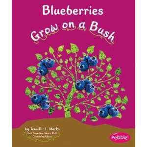  Blueberries Grow On A Bush