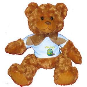   diving Rock My World Plush Teddy Bear with BLUE T Shirt: Toys & Games