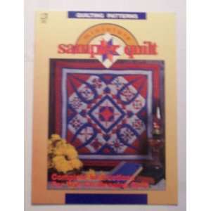    Minature Sampler Quilt (Craft Book): Dianne McAnaney: Books
