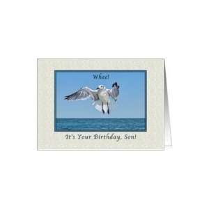  Sons Birthday, Laughing Gull Bird Card Toys & Games