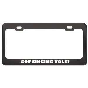 Got Singing Vole? Animals Pets Black Metal License Plate Frame Holder 