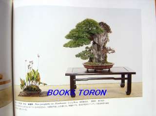 Exhibition of Kokufu Bonsai 55 /Japanese Photo Book/219  