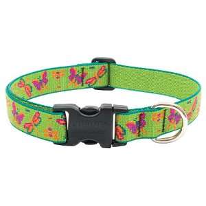  Lupine Adjustable Collars   Large 1 inch x 16 inch   28 