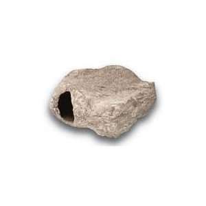  Best Quality Flat Cichlid Stones 2 Opening / Size Giant By 