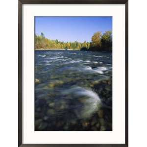  Scenic View of the Adams River Scenic Framed Photographic 