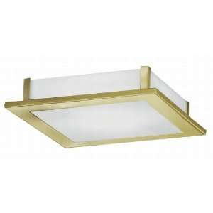  Auriga Collection 2 Light 12 Brass Coated Ceiling Light 