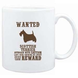   Wanted Scottish Terrier   $1000 Cash Reward  Dogs: Sports & Outdoors