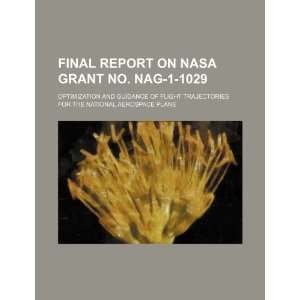  Final report on NASA grant no. NAG 1 1029 optimization 