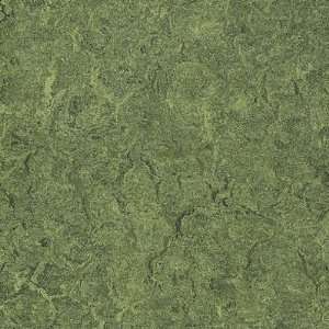   with NaturCote Parrot Green Vinyl Flooring: Home Improvement