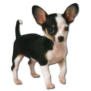  Diecut Chihuahua Puppy Blank Greeting Card Health 