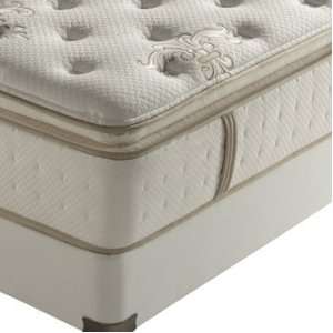   Suzette Luxury Plush Euro Pillowtop Mattress Set: Furniture & Decor