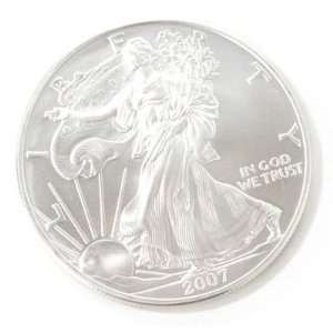   Silver American Eagle Brilliant Uncirculated Coin: Sports & Outdoors