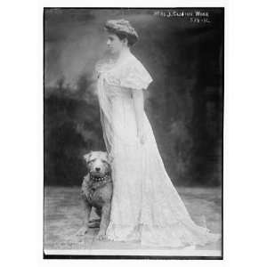 Mrs. J. Clinton Work,with dog,Dufront / Dufront