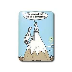 Rich Diesslins Funny Cow Cartoons   Cow Guru   Cow Incidents   Light 