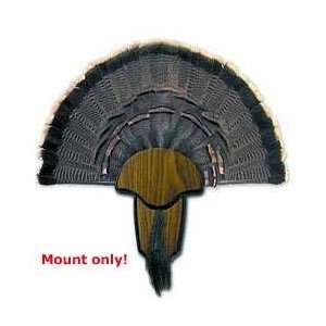  Turkey Tail/Beard Mounting Kit