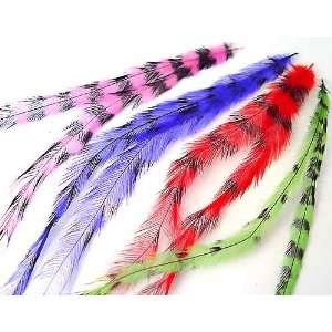  3 Pcs New Fuchsia Pink Grizzly Natural Bird Feather Hair 
