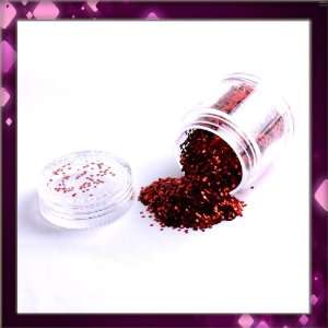   Red Colour Nail Art Sparkling Glitter Powder Dust Tips Salon Set B0389