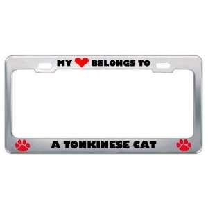 My Heart Belongs To A Tonkinese Cat Animals Pets Metal License Plate 