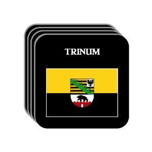  Saxony Anhalt   TRINUM Set of 4 Mini Mousepad Coasters 