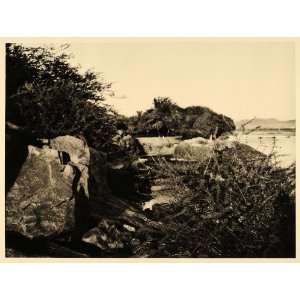  1929 Egypt Photogravure H Rickle Aswan Kitcheners Island 