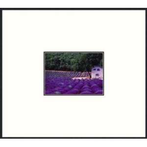  Lavender Field And Farm House,, Pre made Frame by Provence 